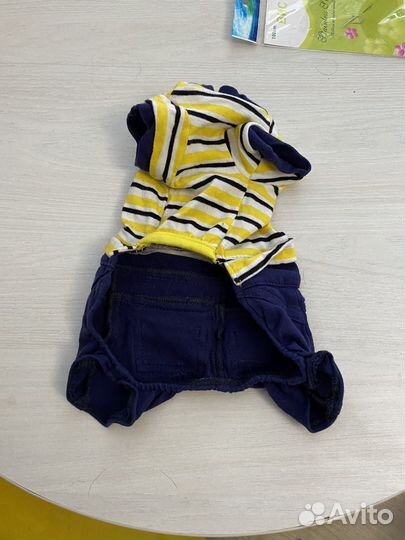 Одежда для собак