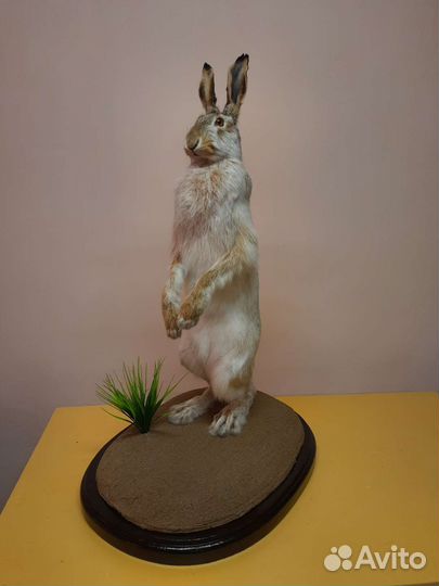 Заяц имитация