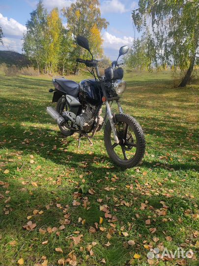 Cobra crossfire 125