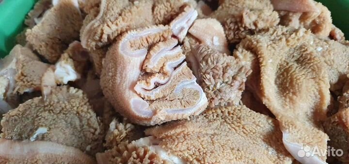 Мясо для собак Череповец