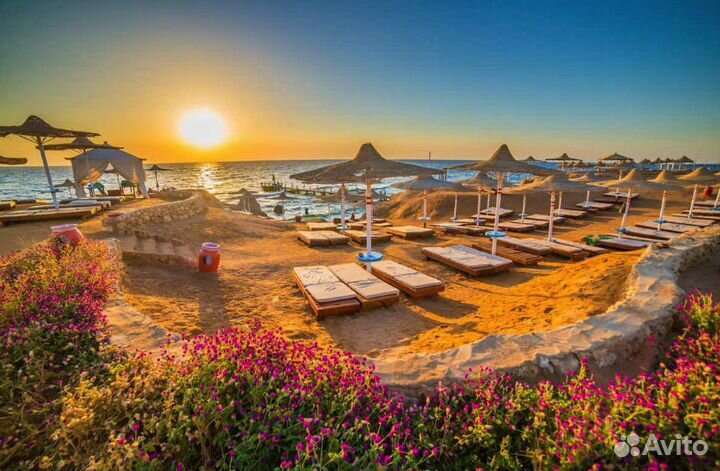 Горящая путевка в Sharm El-Sheikh на 6 нч