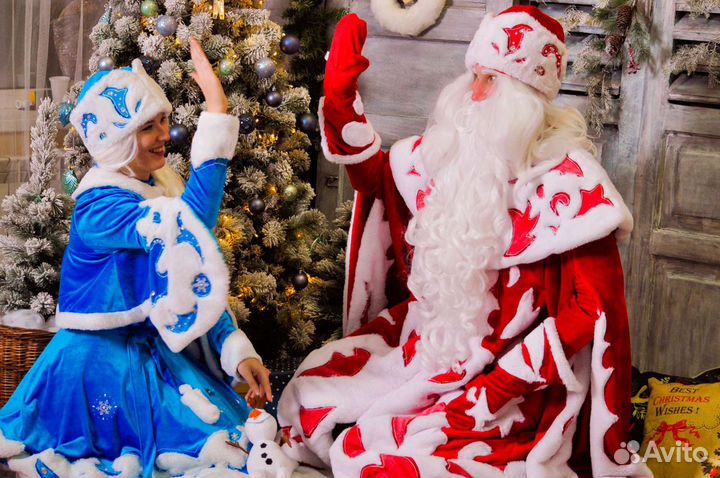 Дед Мороз на дом