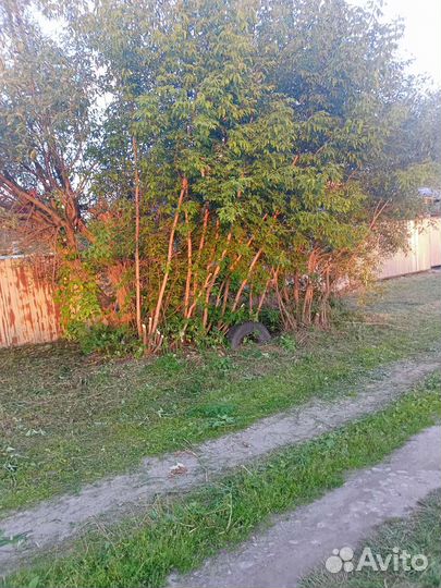 Благоустройство участков