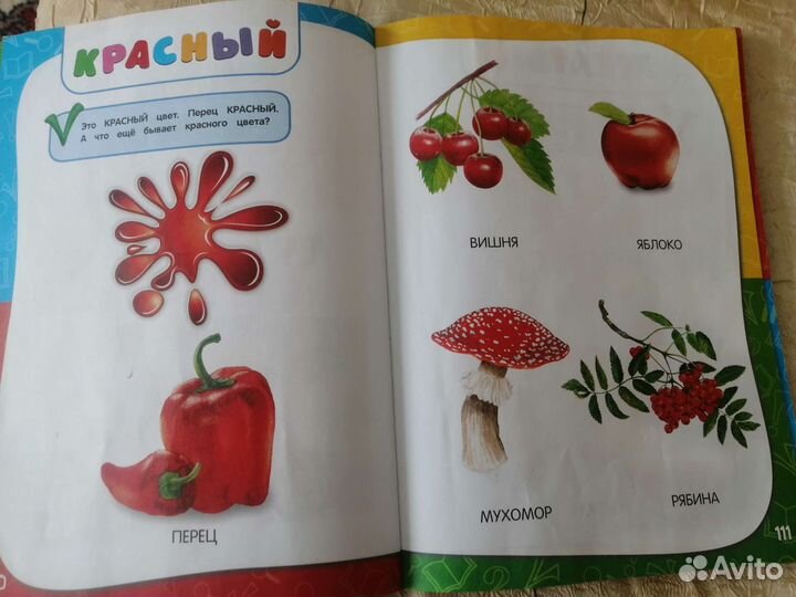 Годовой курс занятий 1 2