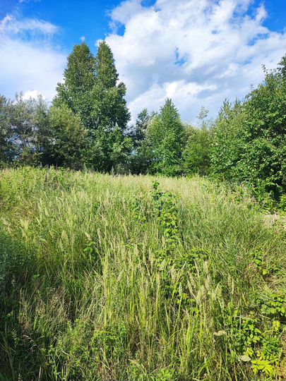 Участок 18,9 сот. (ИЖС)