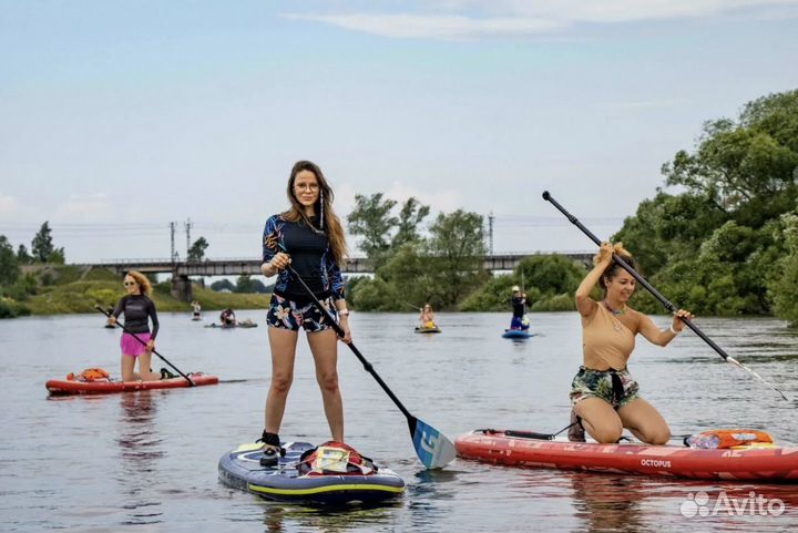 Аренда сап-бордов sup bord с доставкой
