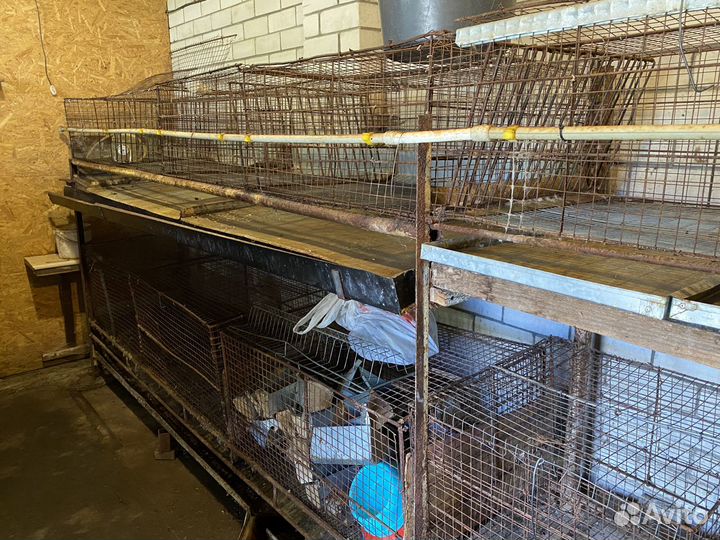 Клетки для кроликов, миниферма