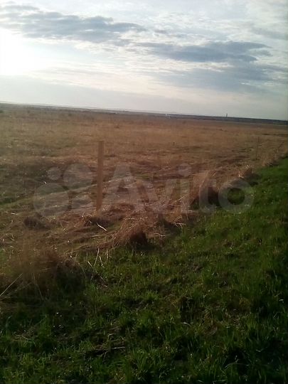 Участок 5,3 га (СНТ, ДНП)