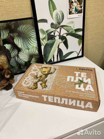 Теплица домашняя