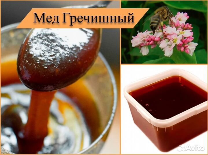 Мед натуральный (гречишный, липовый). Алтай