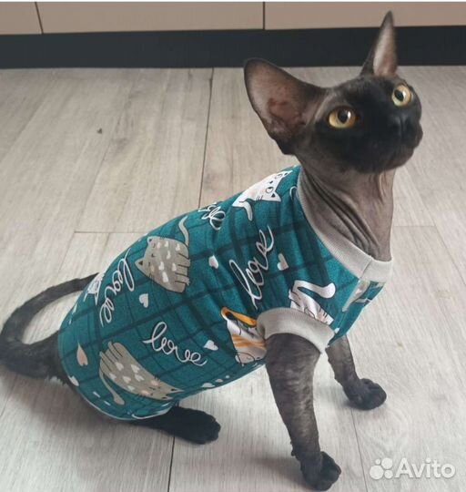 Одежда для собак