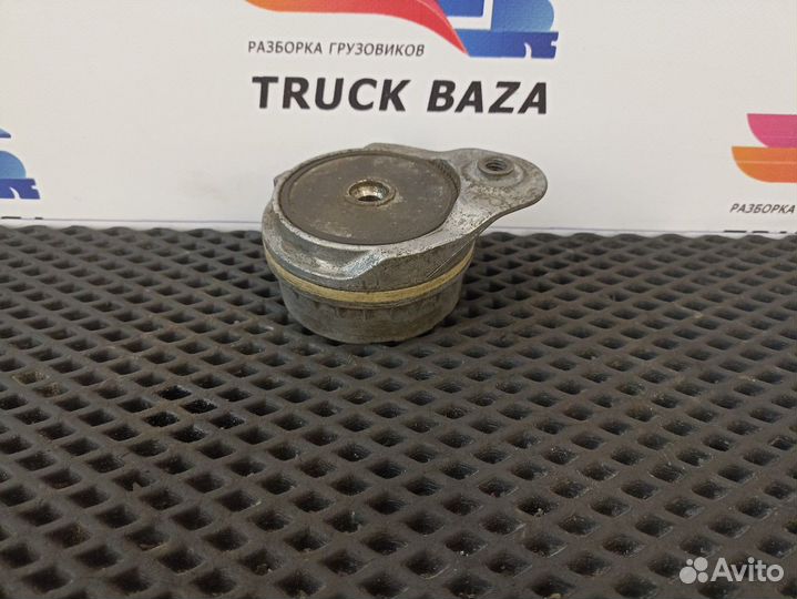 51958007459 Ролик-натяжитель