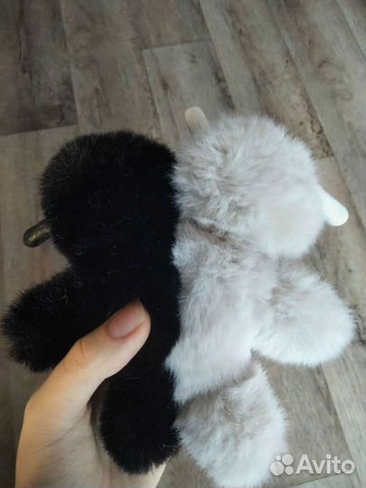 Зайцы сиамские близнецы