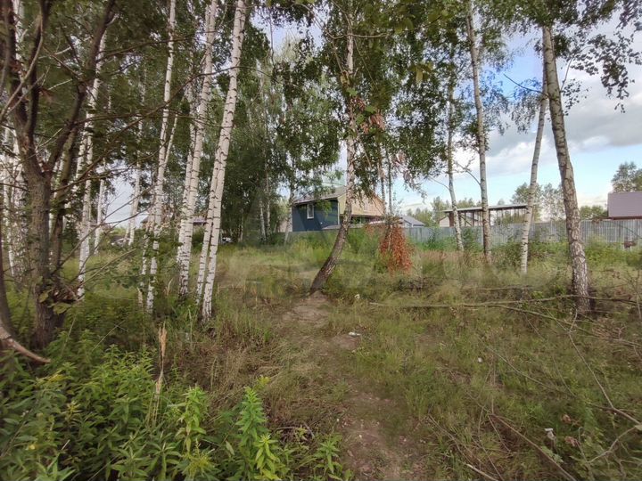 Участок 12,5 сот. (СНТ, ДНП)