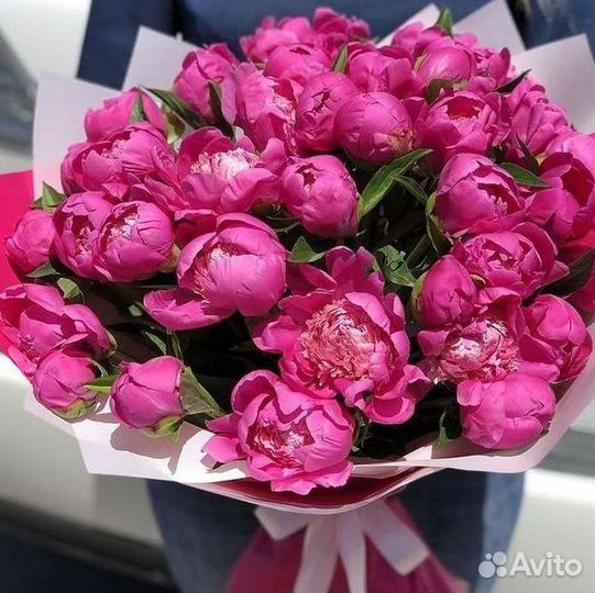 Пионы Цветы Доставка