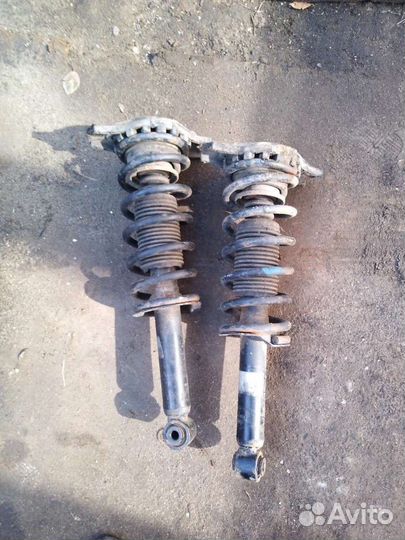 Стойки задние Хэтч/седан primera p11