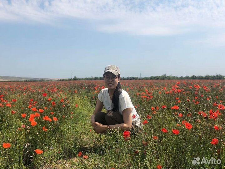 Репетитор по японскому языку