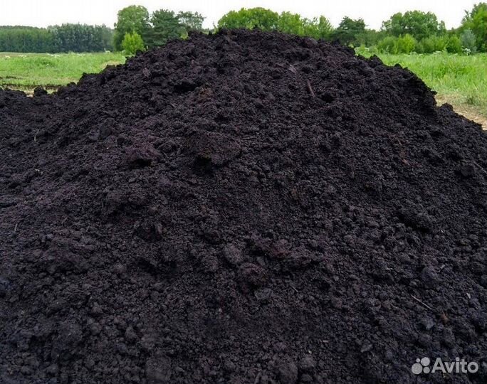 Чернозем и перегной