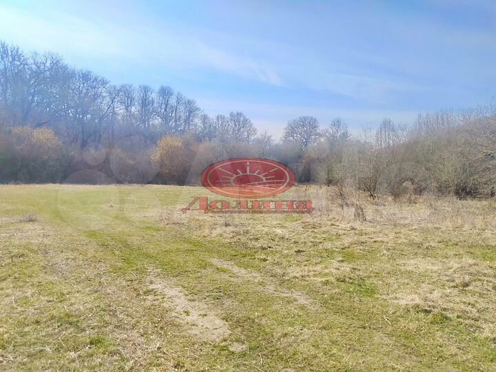 Участок 48 сот. (СНТ, ДНП)