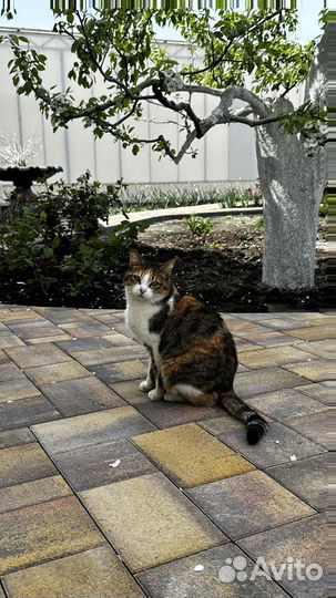 Тротуарная плитка ГОСТ минимальный заказ 120 м2