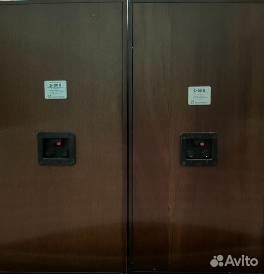 Акустические колонки Radiotehnika s90B