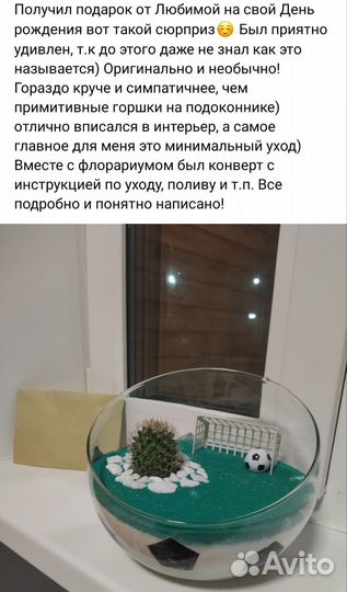 Флорариум суккуленты подарок