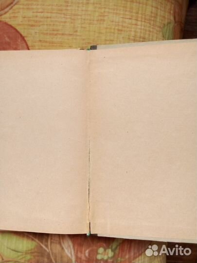 Поют колеса Драгунский