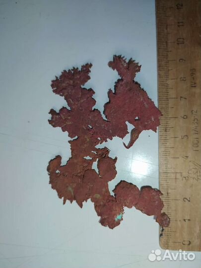 Природные дендриты меди