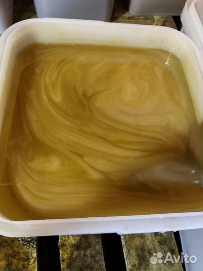 Опт. Свежий цветочный мед