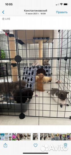 Вальер для животных