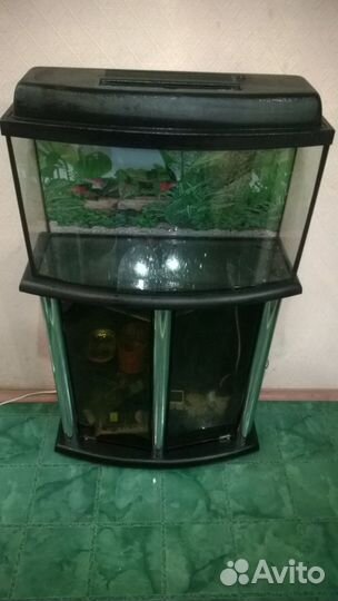 Аквариум