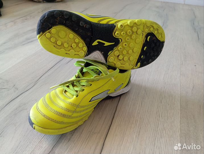 Сороконожка