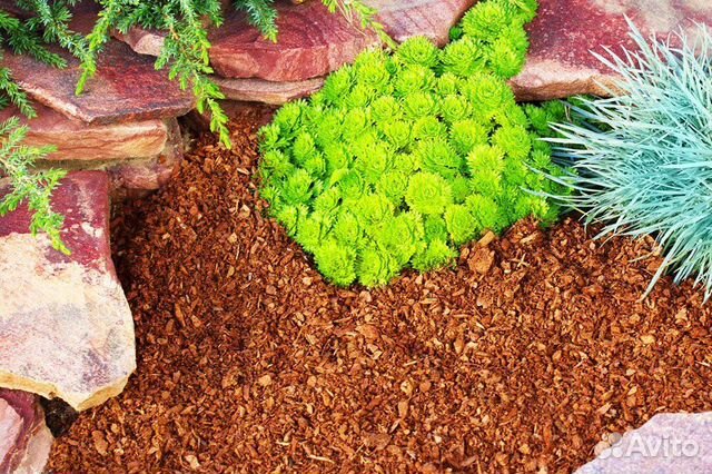 Мульча из коры хвойных пород купить в Перми | Товары для дома и дачи ...