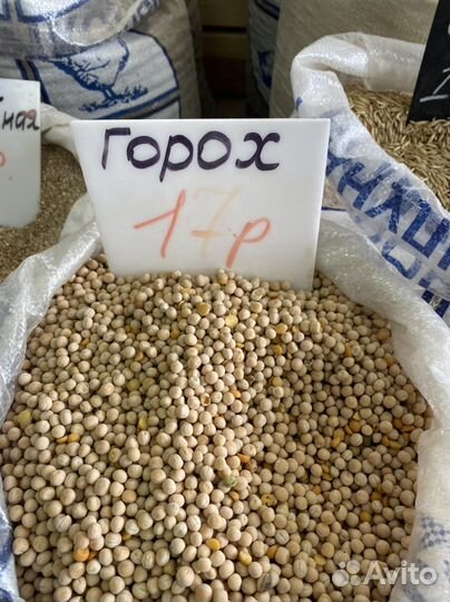 Пшеница, ячмень, кукуруза, горох, овес, семечка