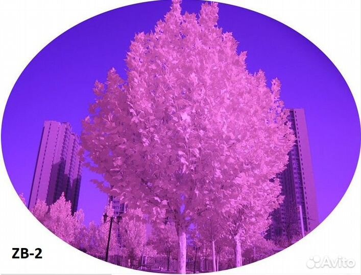 Ик-фотография, уф-фотография, фильтры сенсора