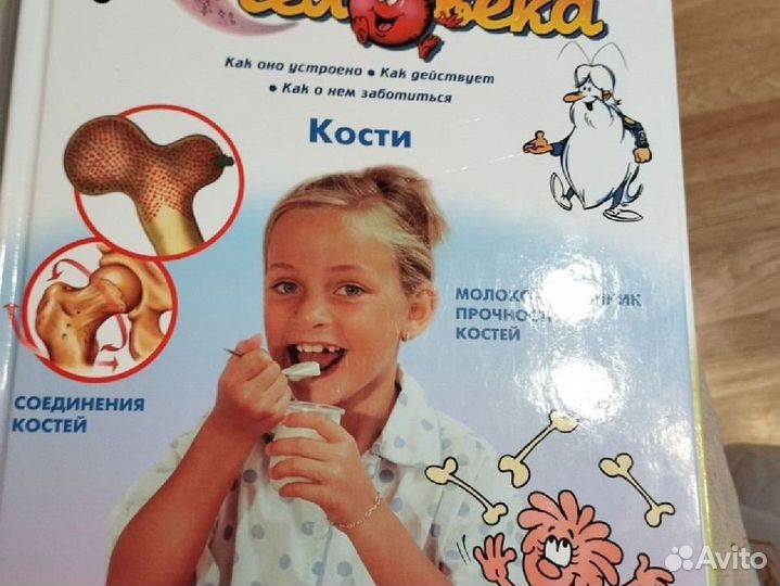 Как устроено тело человека