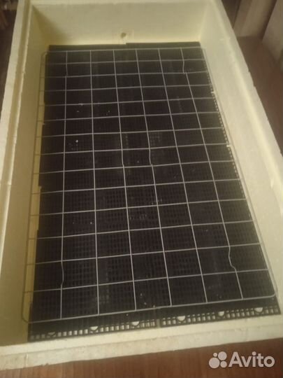 Инкубатор для яиц автоматический бу