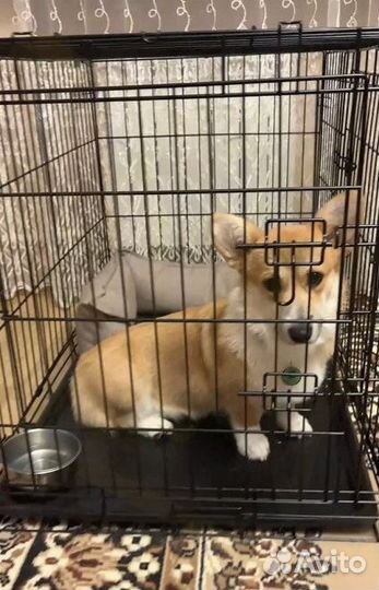 Клетка для животных