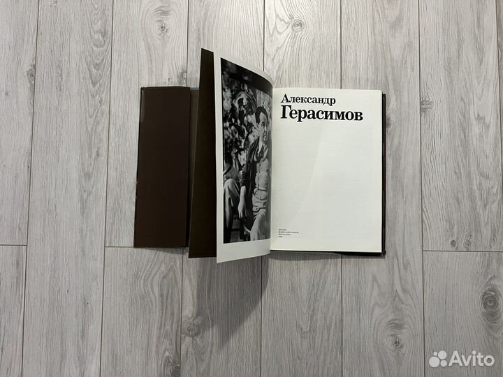 Александр Герасимов