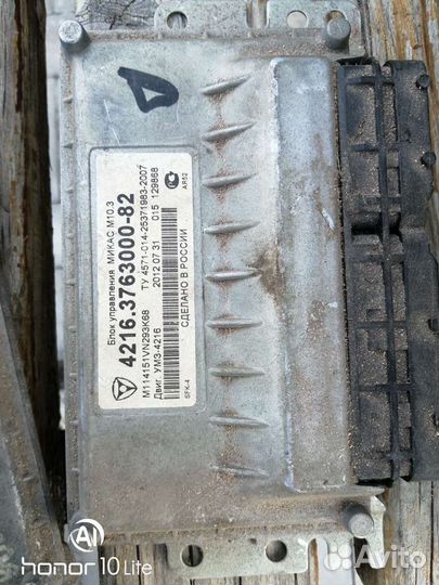 Мозги на газель