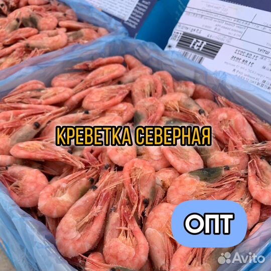Креветка 250/150 оптом от поставщика