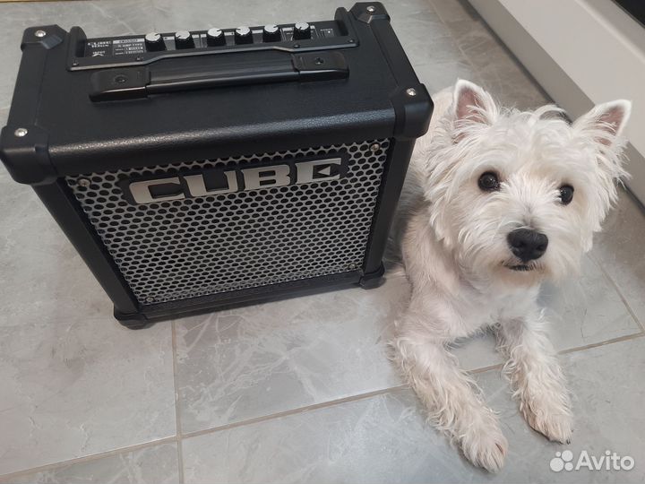 Roland Cube-10gx Комбоусилитель