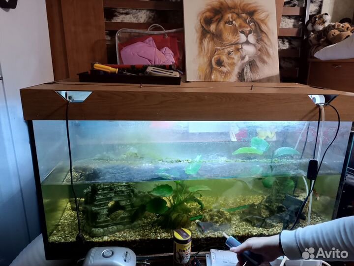 Аквариум