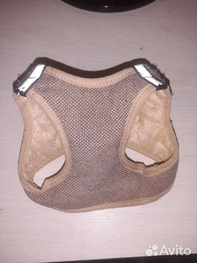 Шлейка для маленькой собаки