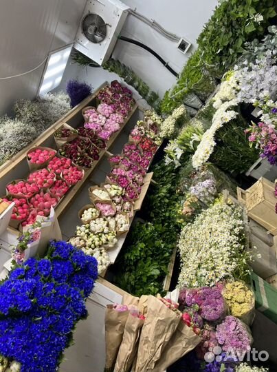 Пионы и васильки