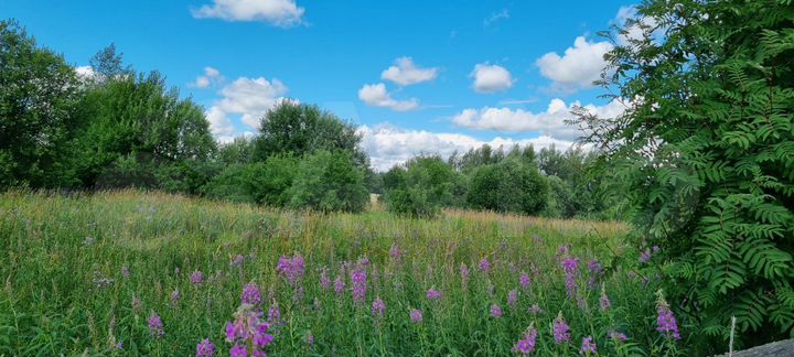 Участок 15 сот. (ИЖС)