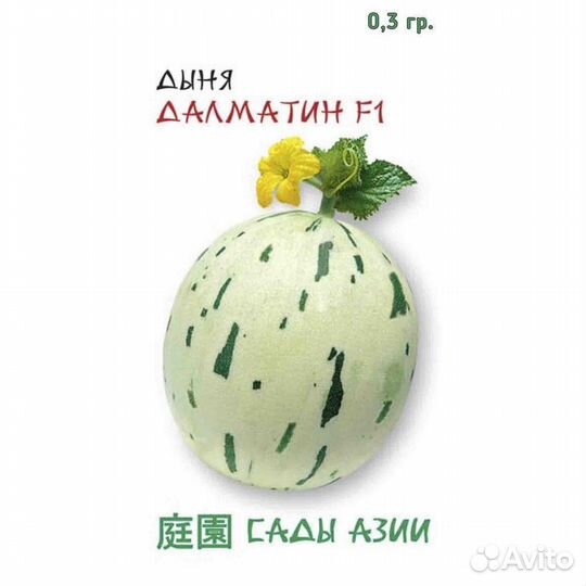 Семена Дыня 