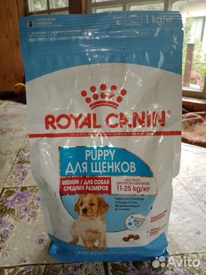 Корм для собак сухой