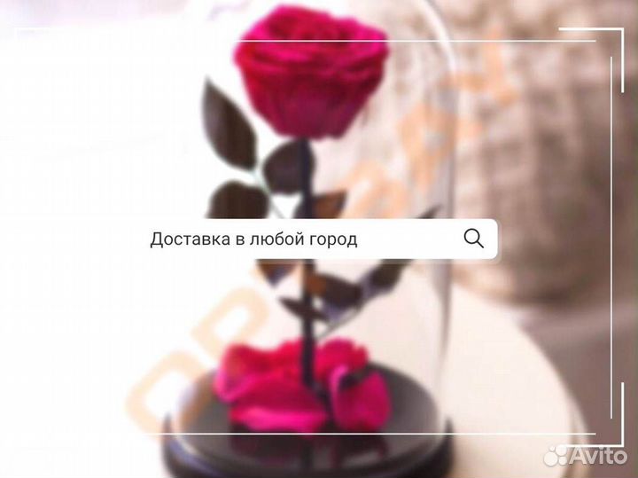 Роза в колбе. Вечная