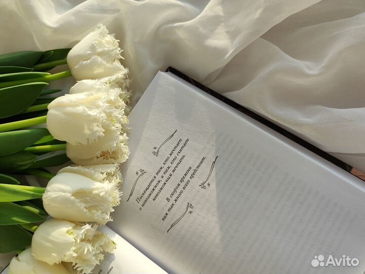 Особо дикая магия